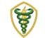 Fisioterapia